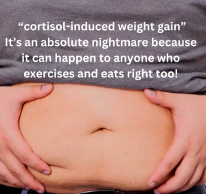 cortisol0induced belly fat